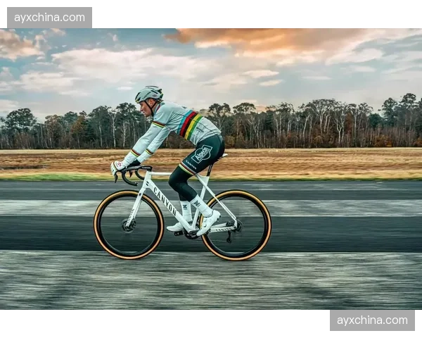 通讯：E3经典赛冠军范德普尔的战术解析——一次精准的远程进攻