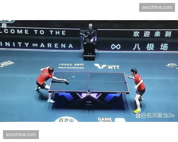 深度报道：乒乓球器材胶皮“内卷”，厂商为微弱性能提升投入巨资研发